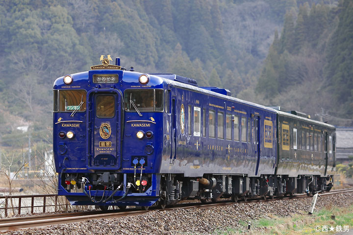 train_kawasemi-yamasemi